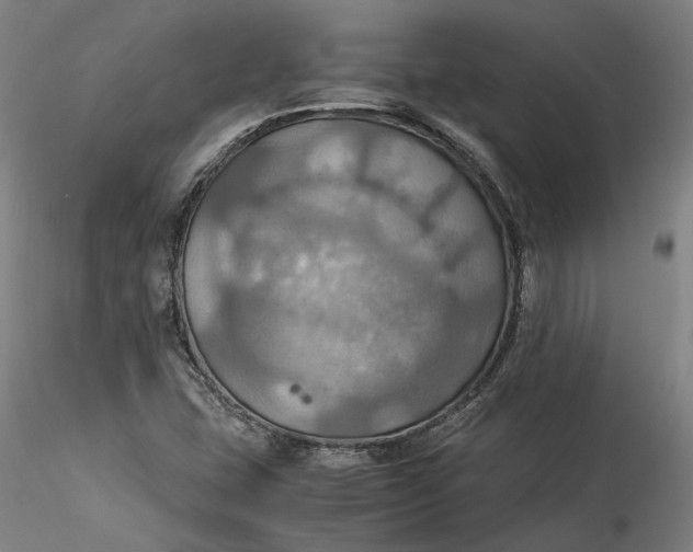 X0000115561407200911271446