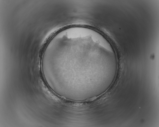 X0000115561408200911271446