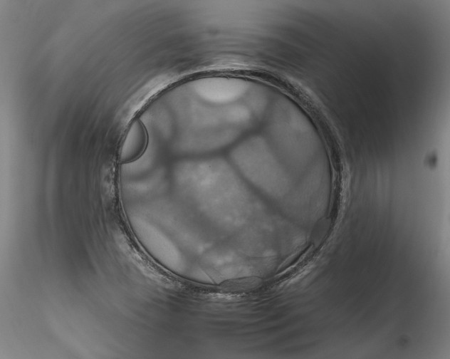 X0000115561409200911271446