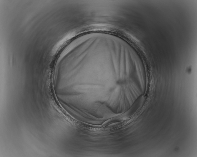 X0000115561411200911271446