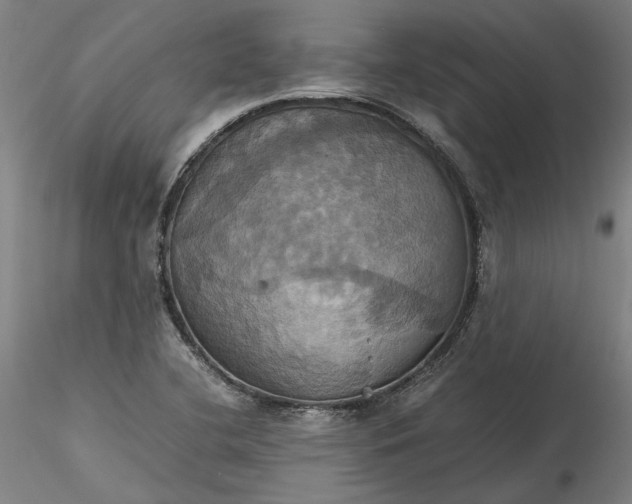 X0000115561412200911271446