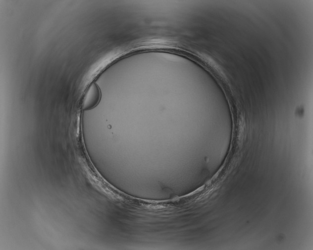 X0000115561413200911271446