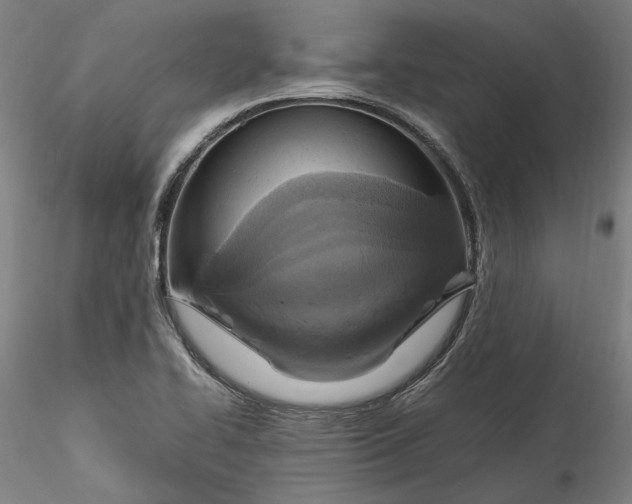 X0000115561414200911271446