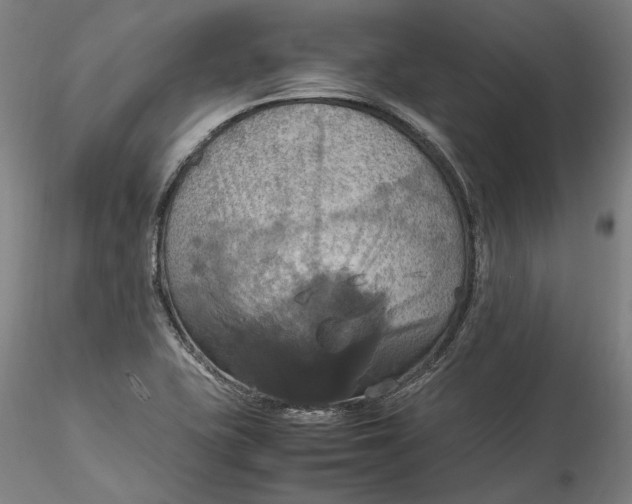 X0000115561415200911271446