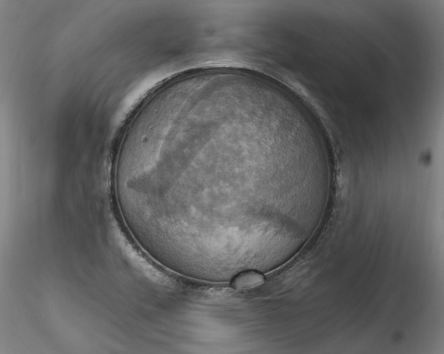 X0000115561416200911271446