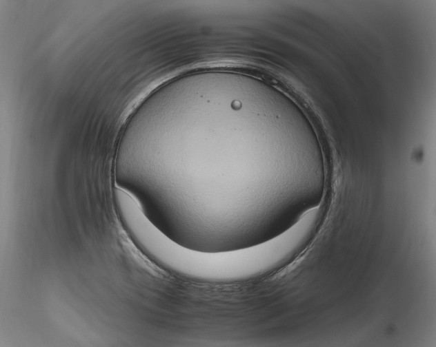 X0000115561417200911271446