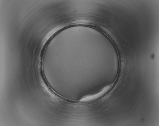 X0000115561418200911271446