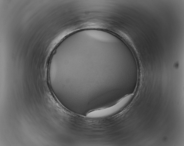 X0000115561419200911271446