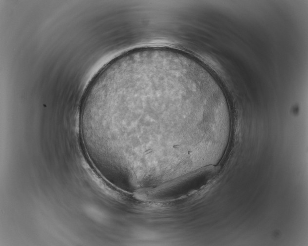 X0000115561420200911271446