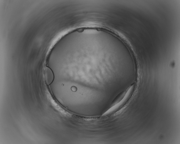 X0000115561421200911271446