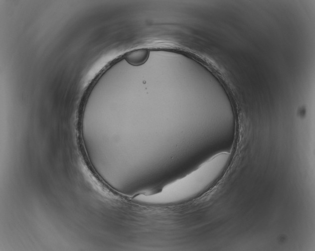 X0000115561422200911271446