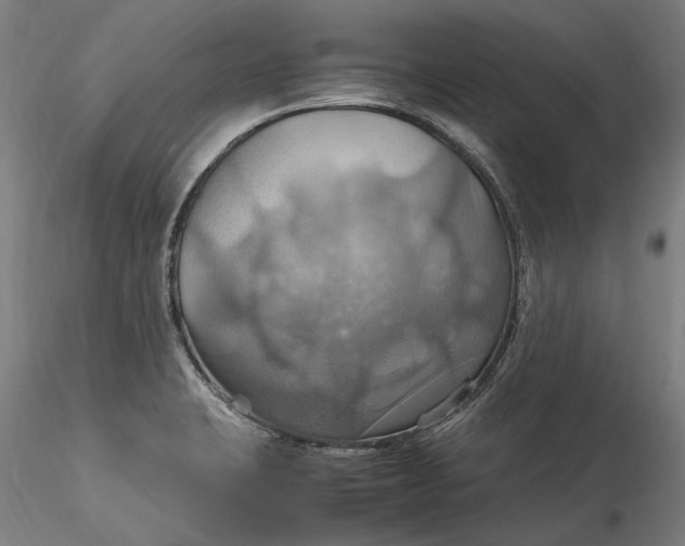 X0000115561423200911271446