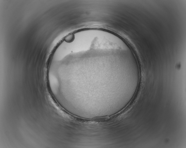 X0000115561424200911271446