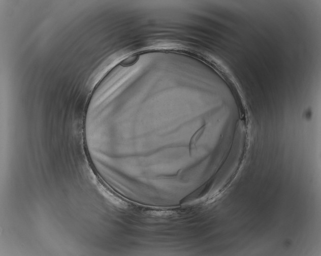 X0000115561425200911271446