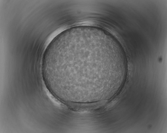 X0000115561426200911271446