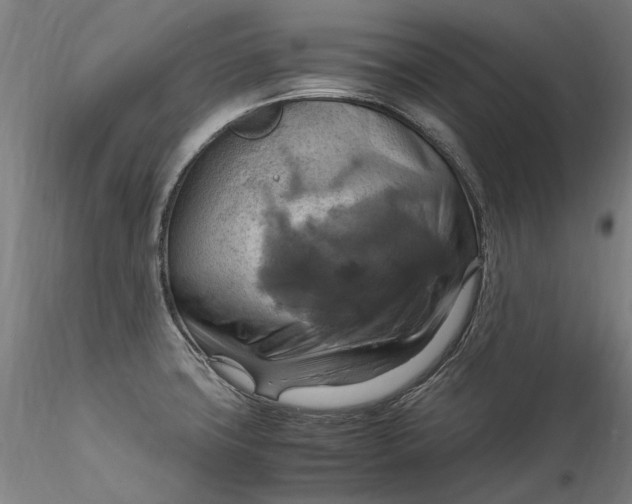 X0000115561427200911271446