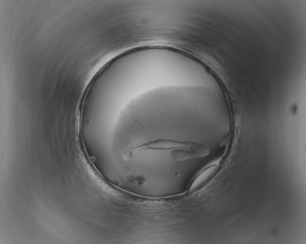 X0000115561428200911271446