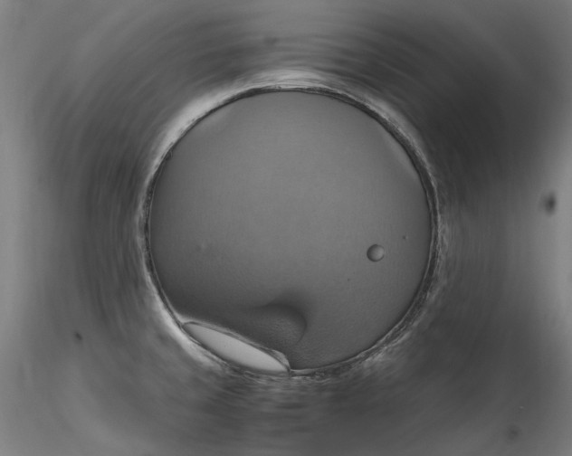 X0000115561429200911271446