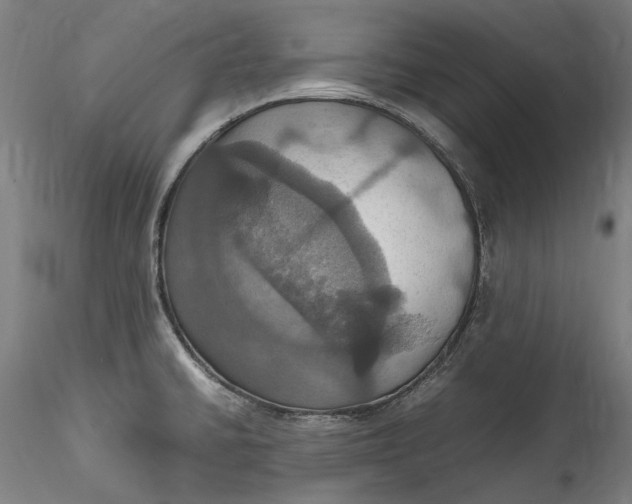 X0000115561430200911271446