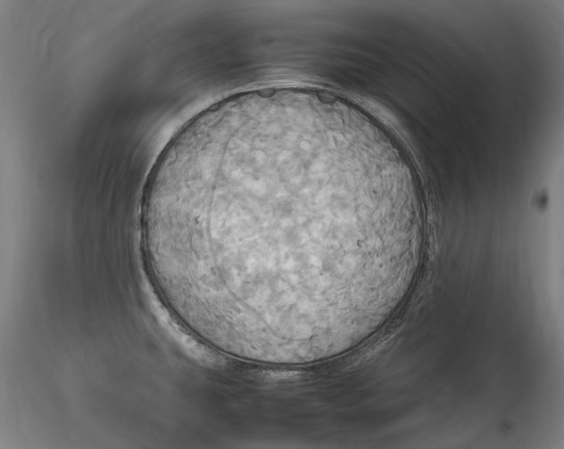 X0000115561431200911271446