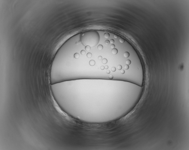 X0000115561433200911271446