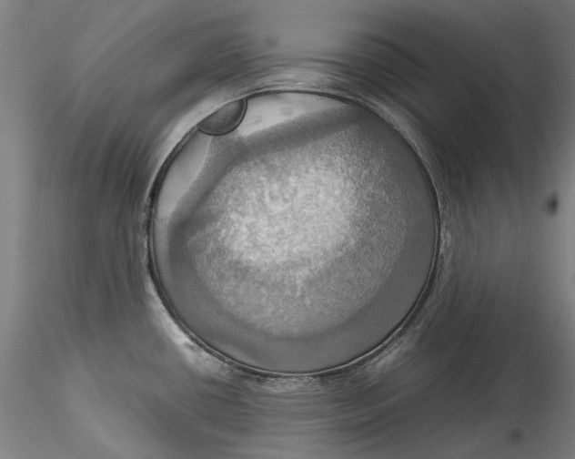 X0000115561434200911271446