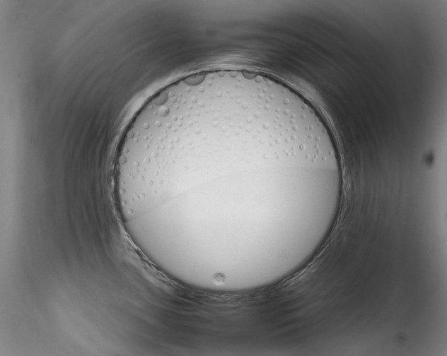 X0000115561435200911271446