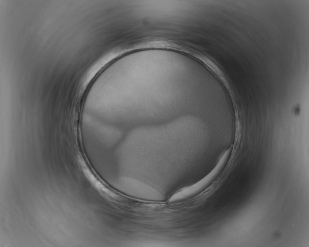 X0000115561438200911271447