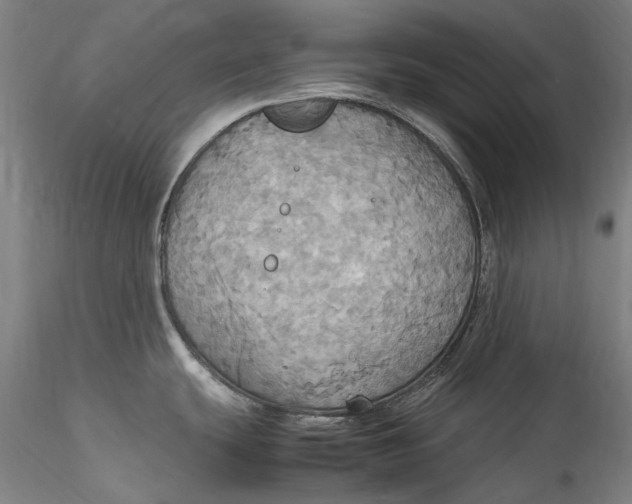 X0000115561439200911271447