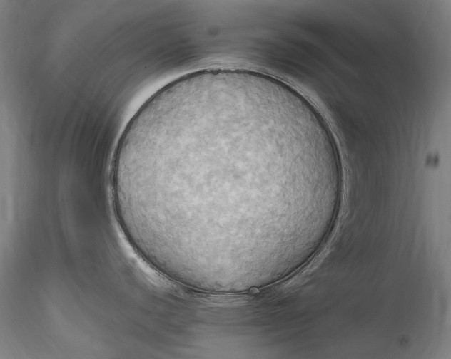 X0000115561440200911271447