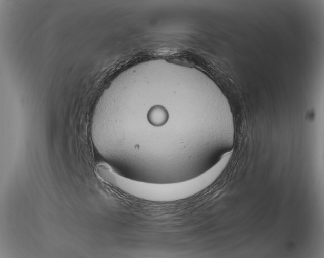 X0000115561441200911271446