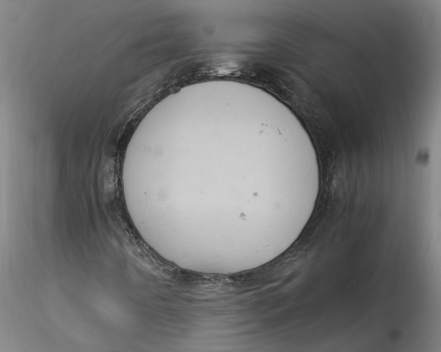 X0000115561442200911271446