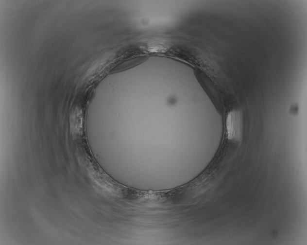 X0000115561443200911271446