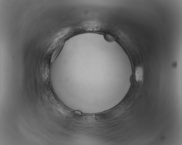 X0000115561444200911271446