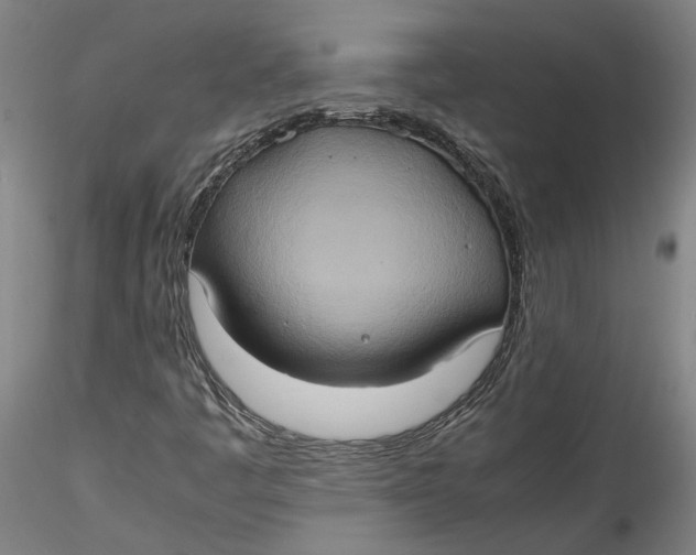 X0000115561445200911271446