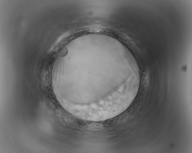 X0000115561446200911271446