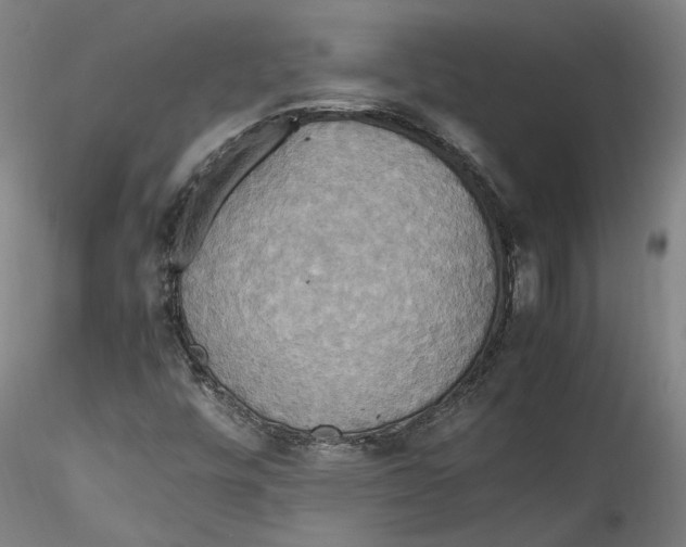 X0000115561448200911271446