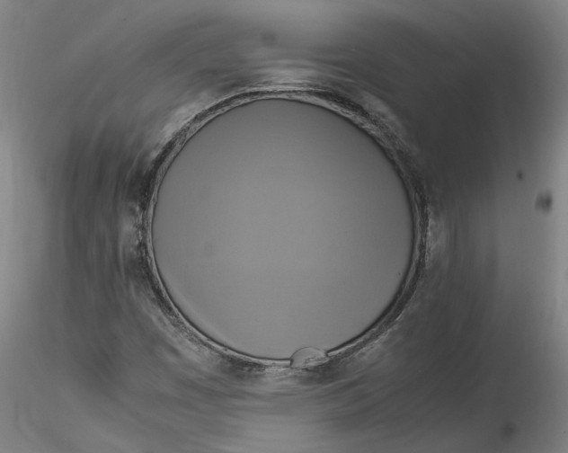 X0000115561449200911271446