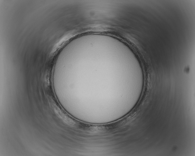 X0000115561451200911271446