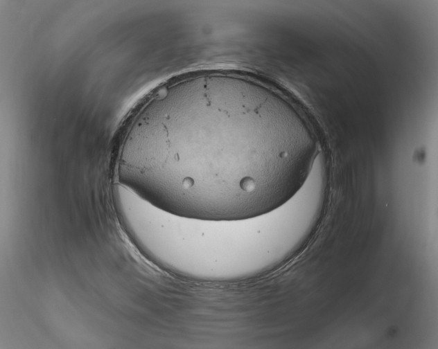 X0000115561452200911271446