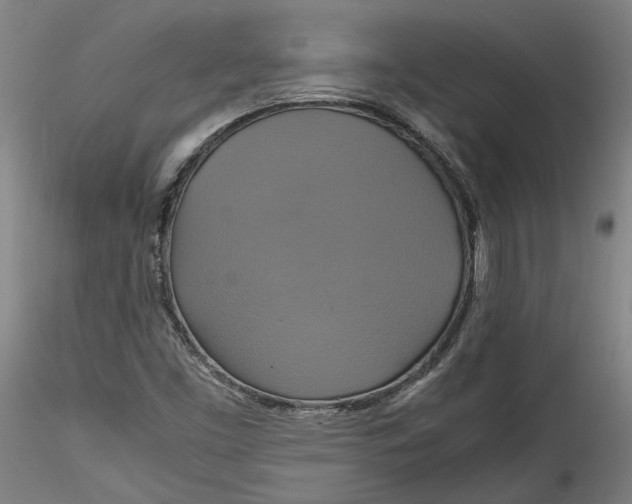 X0000115561453200911271446