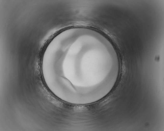 X0000115561454200911271446