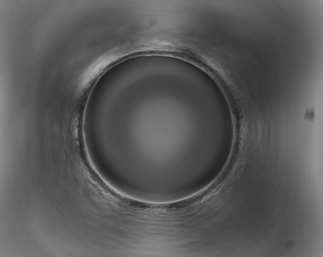 X0000115561455200911271446