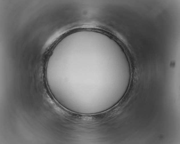 X0000115561456200911271446