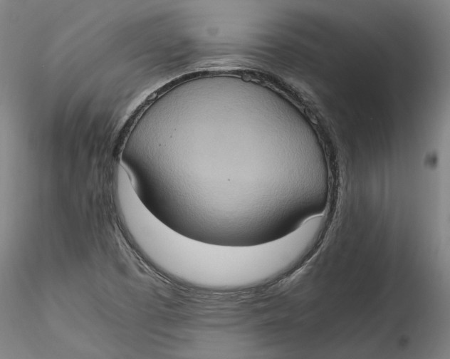 X0000115561457200911271445