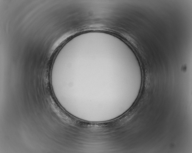 X0000115561458200911271445