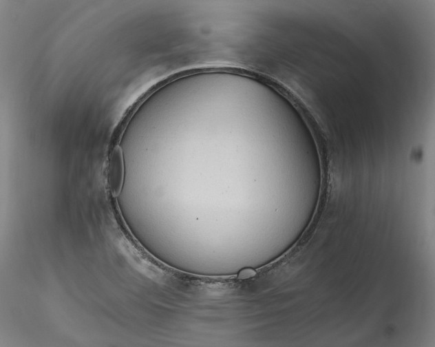 X0000115561460200911271445