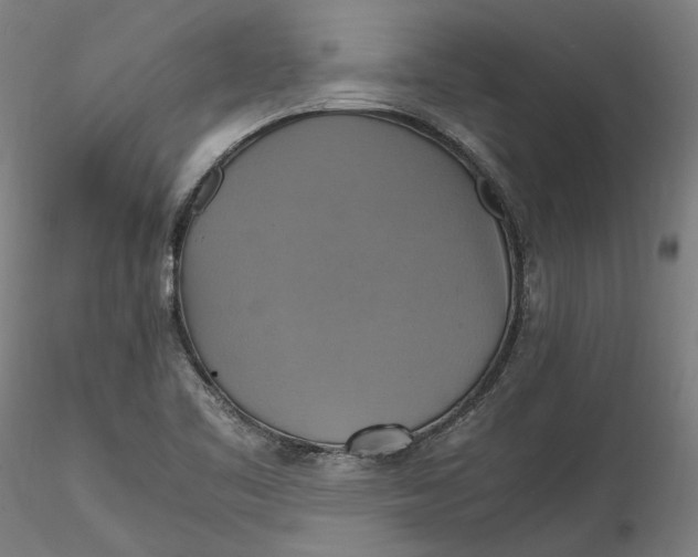 X0000115561461200911271445