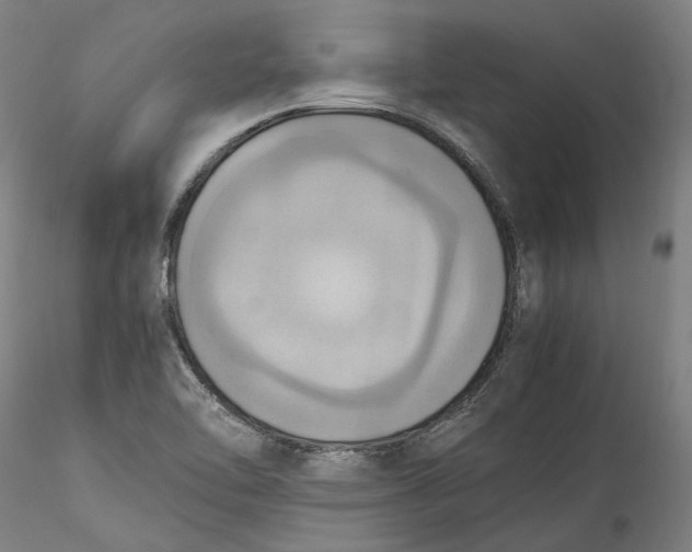 X0000115561462200911271445