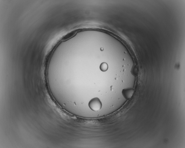 X0000115561464200911271445